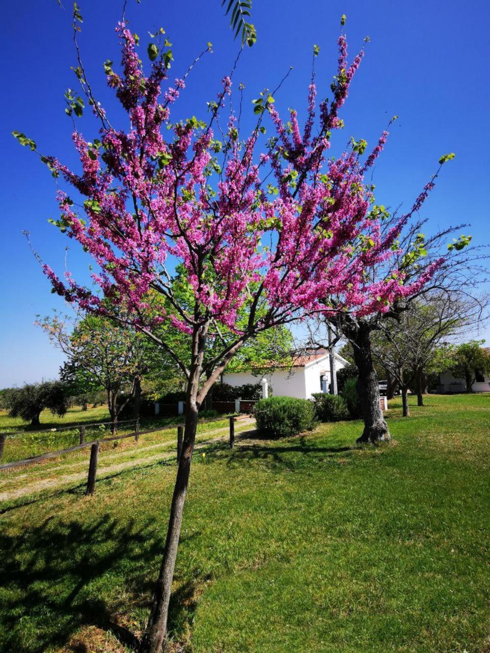 Casa Tonino Villa Pisticci Exterior photo